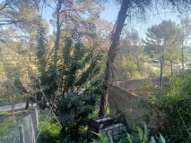 Foto6