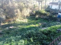 Foto7