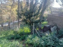 Foto8
