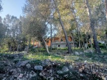 Foto9