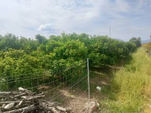 Foto5