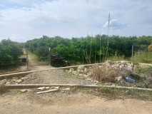 Foto4