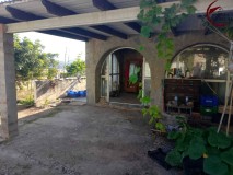 Foto1