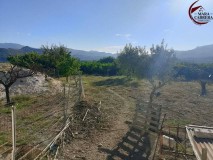 Foto12