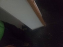 Foto29
