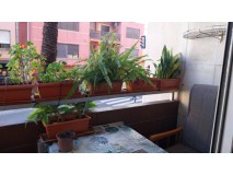 Foto17