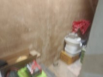 Foto19