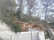 Foto12