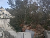 Foto6
