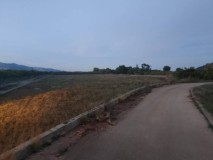 Foto9