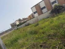 Foto6