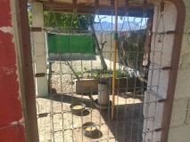 Foto11
