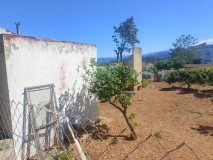 Foto12