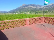 Foto18