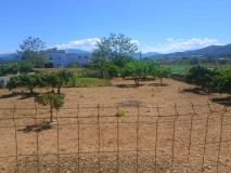 Foto8