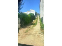 Foto21