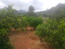 Foto21