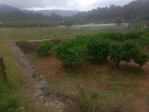 Foto10
