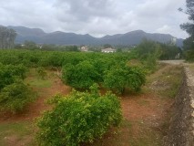 Foto4
