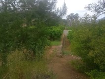 Foto11