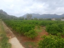 Foto5