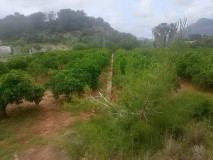 Foto14