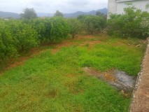 Foto12