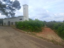 Foto3