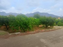 Foto32