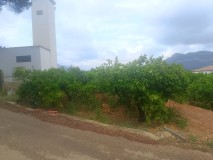 Foto31
