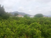 Foto16