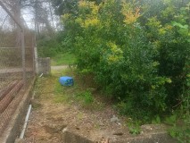 Foto13