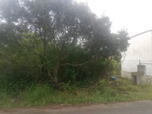 Foto19