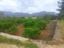 Foto6
