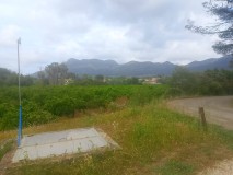 Foto9