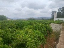 Foto17