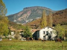 Foto8