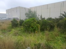 Foto1