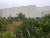 Foto11