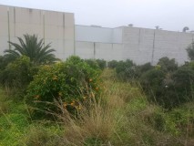Foto8