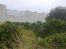 Foto9