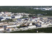 Foto7