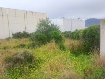 Foto2