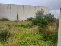 Foto3
