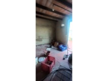 Foto42