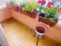Foto17