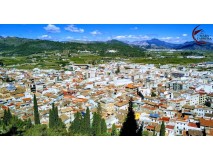 Foto6