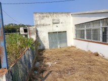 Foto8