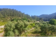 Foto14