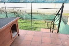 Foto10